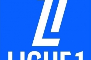 法甲彩经：尼斯做客全身而退
